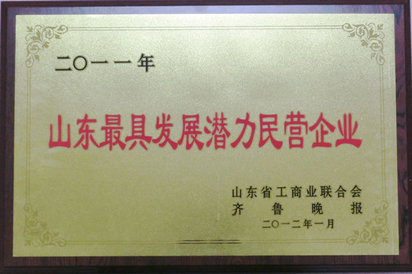 聯(lián)橋集團(tuán)獲評(píng)山東最具發(fā)展?jié)摿γ駹I(yíng)企業(yè)